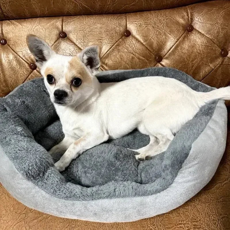 Sehr Weiches Warmes Hundesofa & Haustier Korbbett – Gemütliches Gepolstertes Schlafnest für Mittelgroße Große Hunde, Welpen & Katzen
