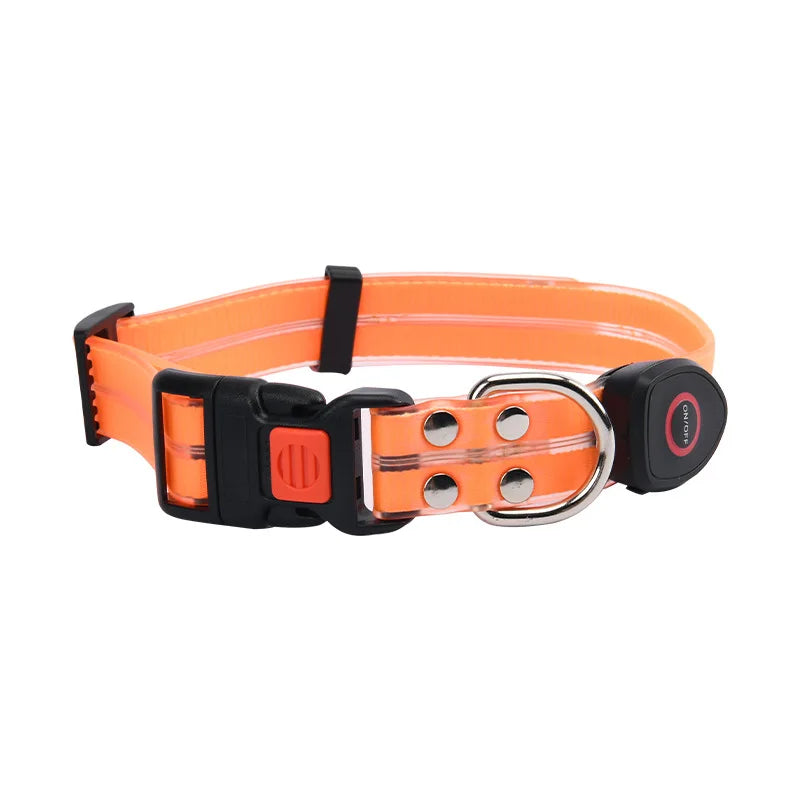 Leuchtendes Hundehalsband mit Leine – Wiederaufladbares Blinkendes Halsband mit Verstellbarer Passform für Spaziergänge