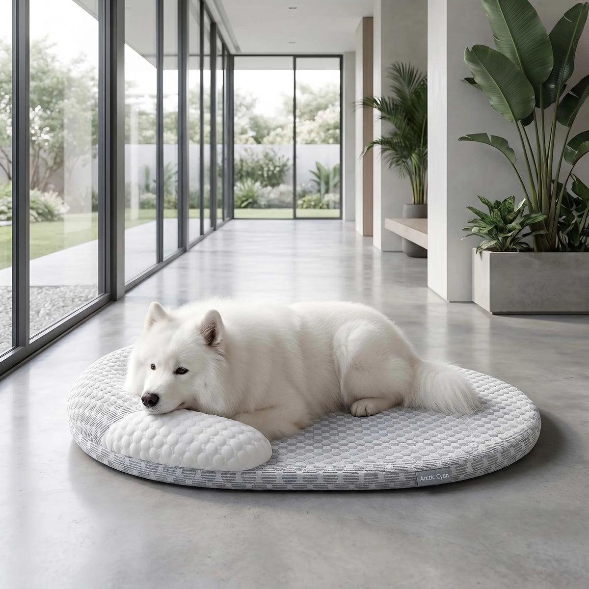 Sommer Ice-Silk Kühlendes Hundebett & Katzenmatte – Atmungsaktives Ovales Haustiernest und Kühlmatte für Kleine Mittlere Große Hunde & Katzen
