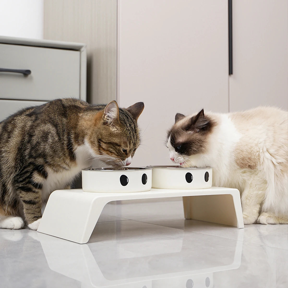 Erhöhte Doppelnapf-Futterstation – Ständer mit Edelstahlnäpfen für Futter & Wasser für Kleine, Mittelgroße & Große Hunde und Katzen