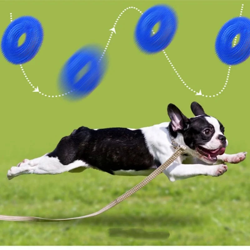Stacheliger Reifenring Hundekauspielzeug – Quietschendes Robustes TPR Zahnreinigungs- & Backenzahn-Spielzeug für Welpen und Hunde