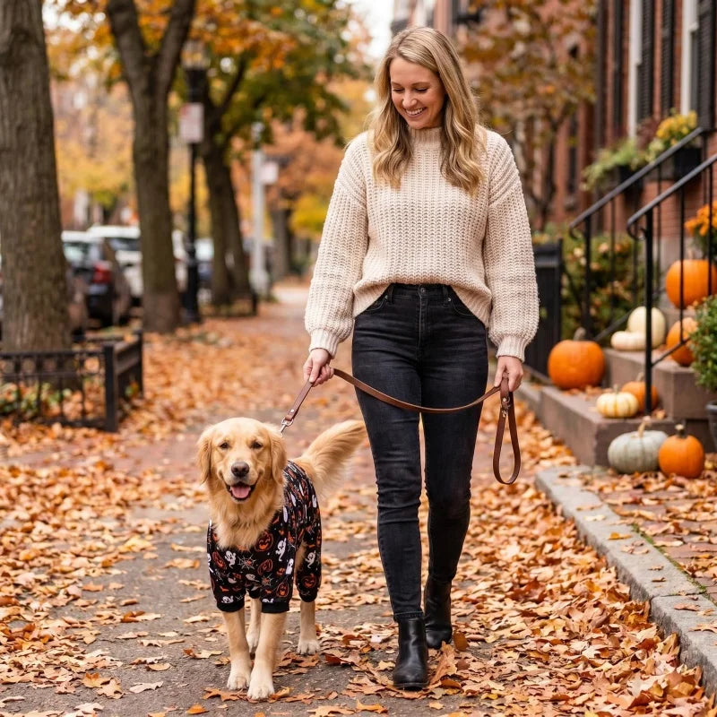 Halloween-Pyjama für Mittelgroße Hunde – Elastischer Lustiger Hunde-Kostüm-Pyjama