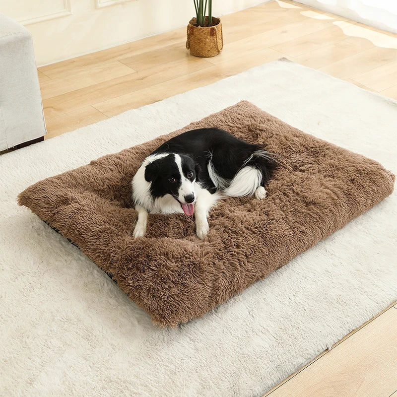 Weiches Langplüsch Hundebett & Haustier Schlafsofa – Gemütliches Korb-Kissen und Katzenbett für Kleine Mittlere Große Hunde, Welpen & Katzen