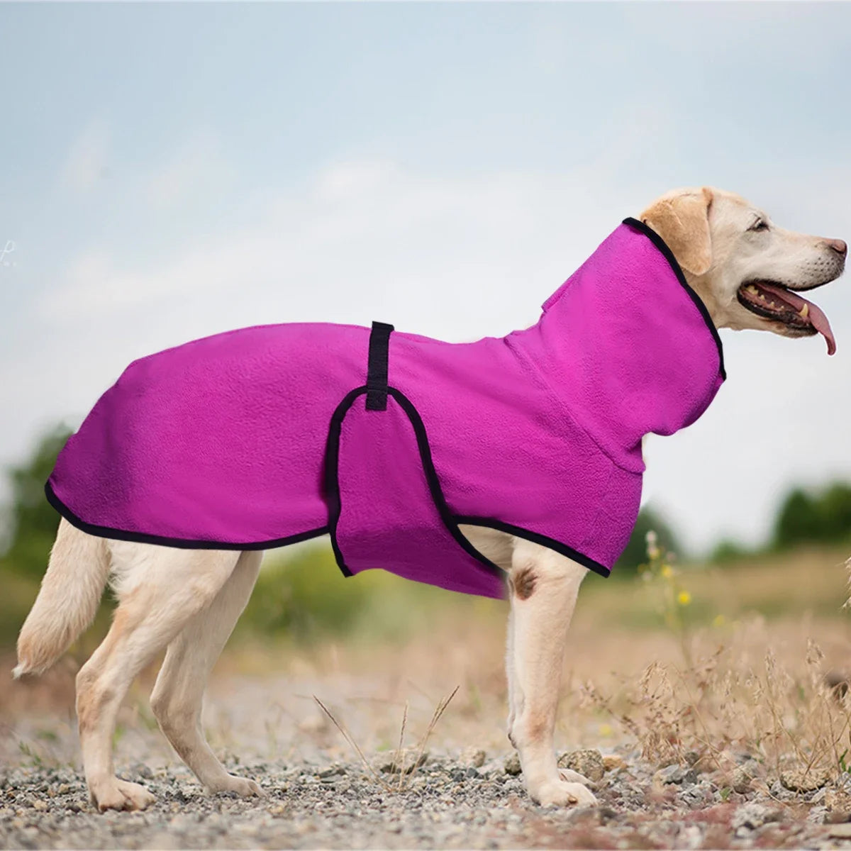 Warmer Wintermantel für Hunde – Gemütliche Haustierweste für Kleine, Mittelgroße & Große Hunde