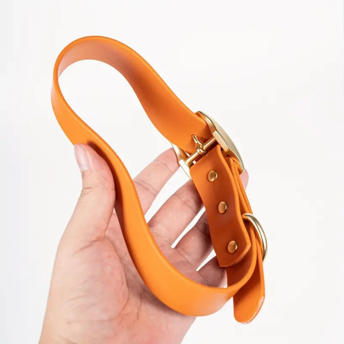 Wasserfestes Hundehalsband- & Leinen-Set aus PVC – Mehrfarbiges Verstellbares Pflegeleichtes Halsband mit Dornschließe für Alle Hunderassen