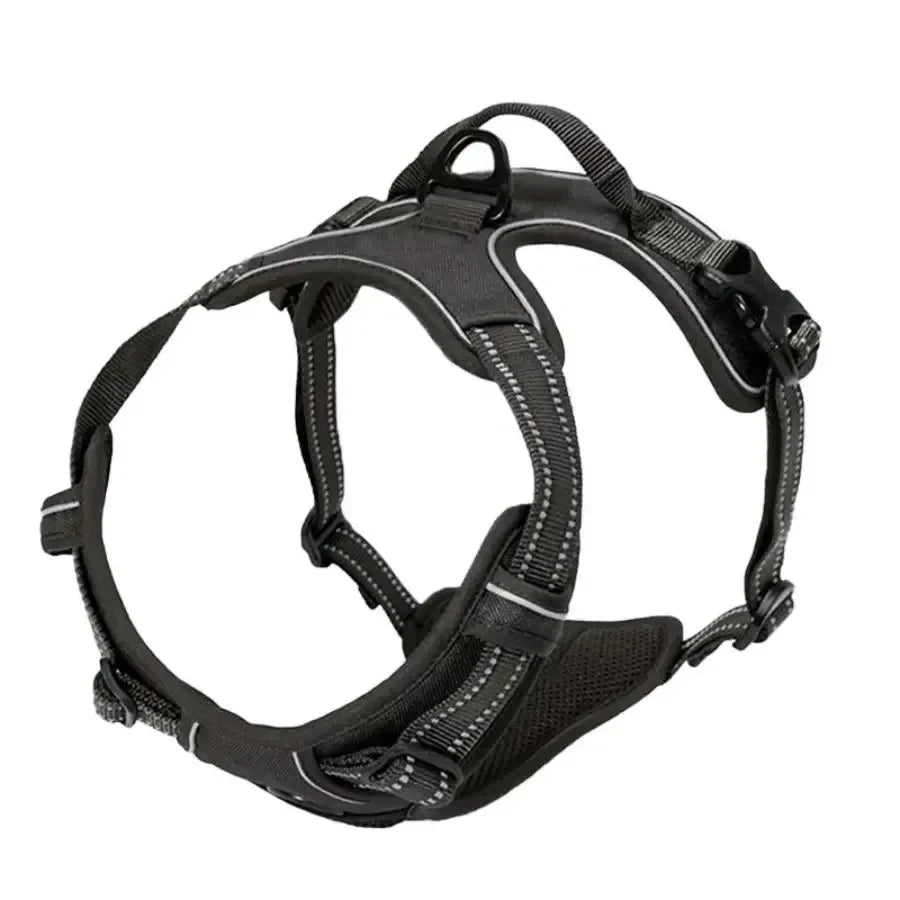 Hunde-Halsband, Geschirr und Leinen-Set in Lederoptik – Verstellbares Spaziergang-Set für Kleine und Mittelgroße Hunde und Welpen