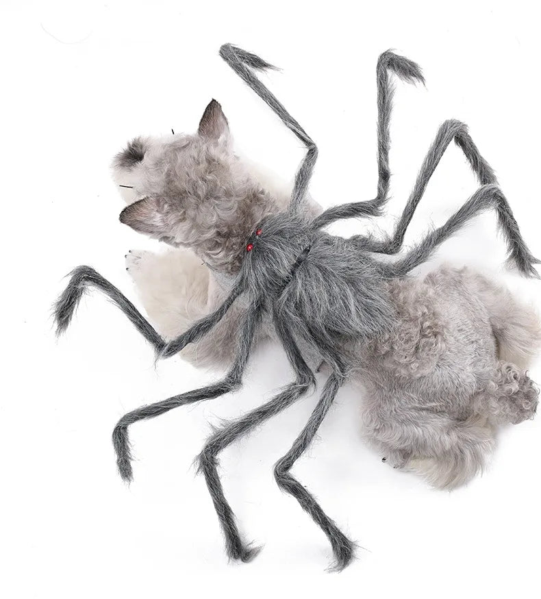 Lustiges Spinnenkostüm für Haustiere – Halloween-Cosplay-Outfit für Kleine & Mittelgroße Hunde & Katzen