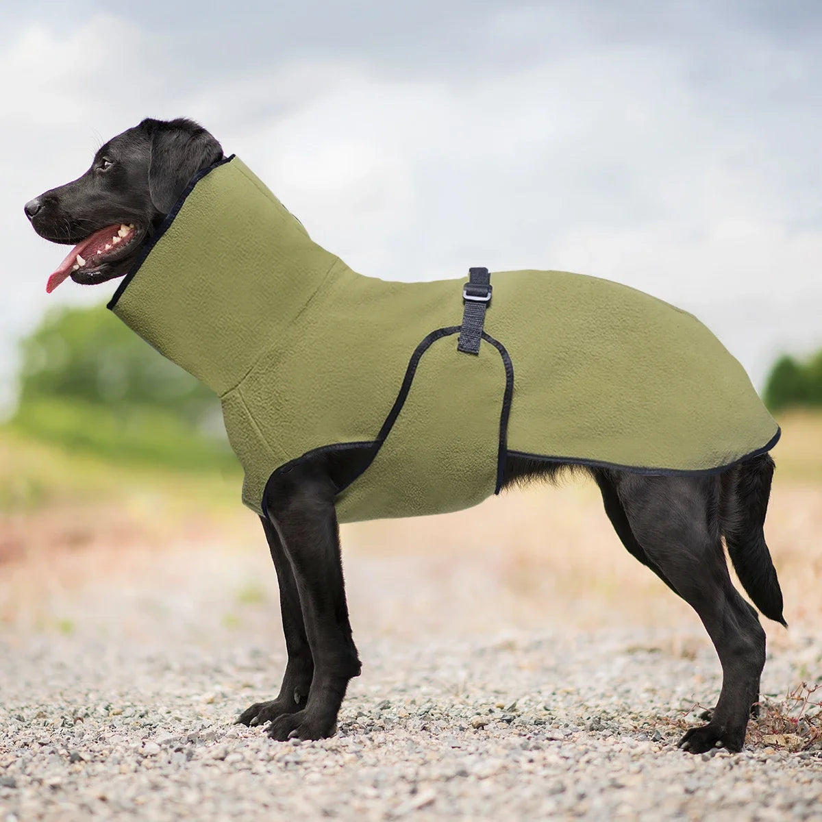 Warmer Wintermantel für Hunde – Gemütliche Haustierweste für Kleine, Mittelgroße & Große Hunde
