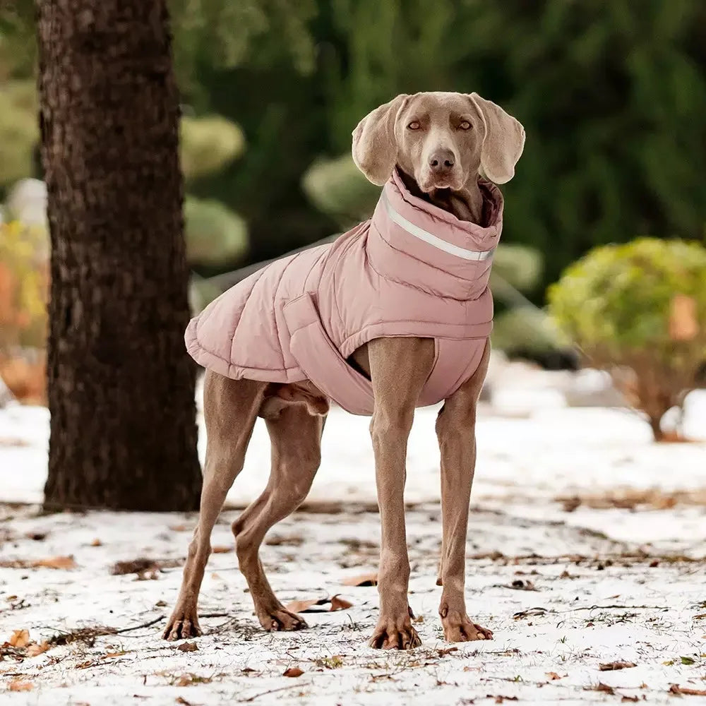 Warme Winter-Daunenweste für Hunde – Winddichte Jacke für Chihuahua & Französische Bulldogge