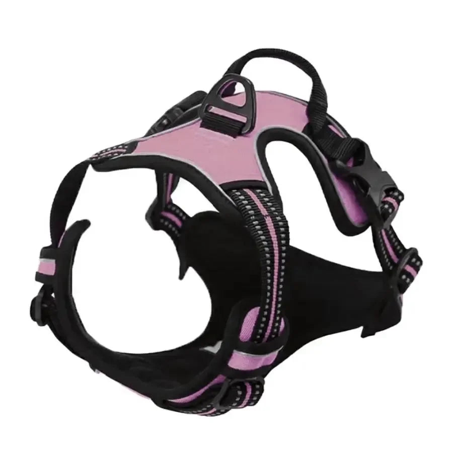 Hunde-Halsband, Geschirr und Leinen-Set in Lederoptik – Verstellbares Spaziergang-Set für Kleine und Mittelgroße Hunde und Welpen