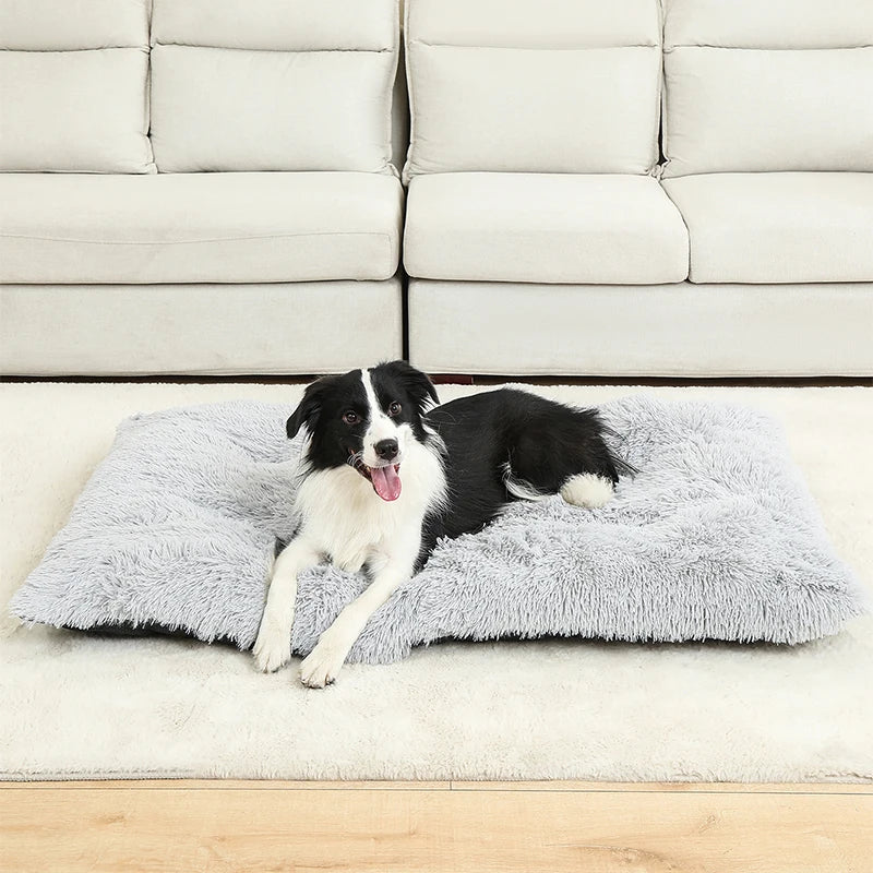 Weiches Langplüsch Hundebett & Haustier Schlafsofa – Gemütliches Korb-Kissen und Katzenbett für Kleine Mittlere Große Hunde, Welpen & Katzen