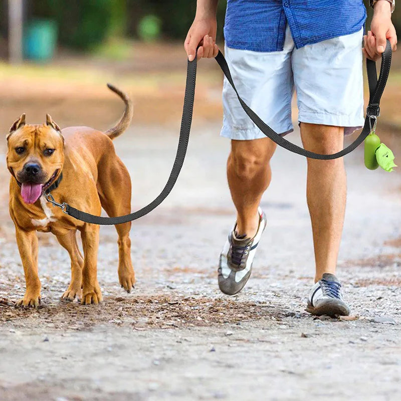 Reflektierende Hundeleine – Strapazierfähige Leine für Spaziergänge bei Dunkelheit und Training, geeignet für Hunde und Katzen