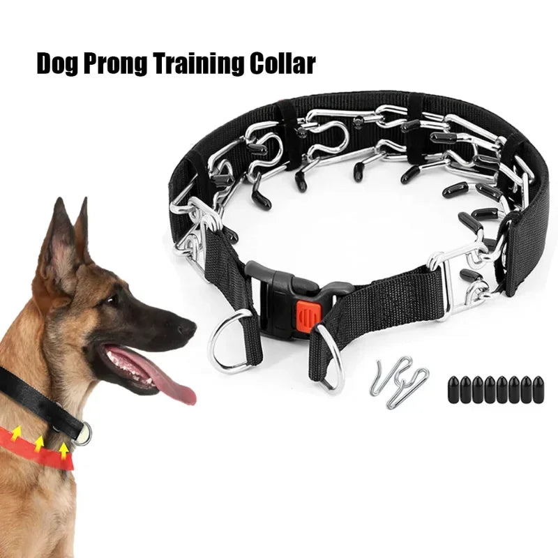 Stachelhalsband für Hundetraining – Trainingshalsband mit Schnellverschluss & Nylonabdeckung