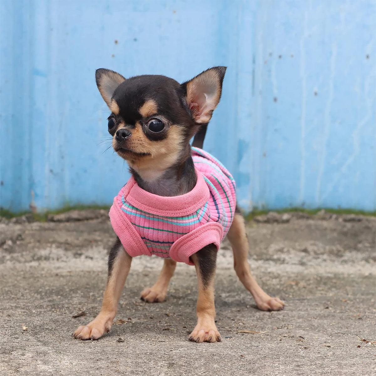 Rosa Geripptes Hunde-Tanktop – Weiches Ärmelloses Shirt für Kleine Hunde & Chihuahuas