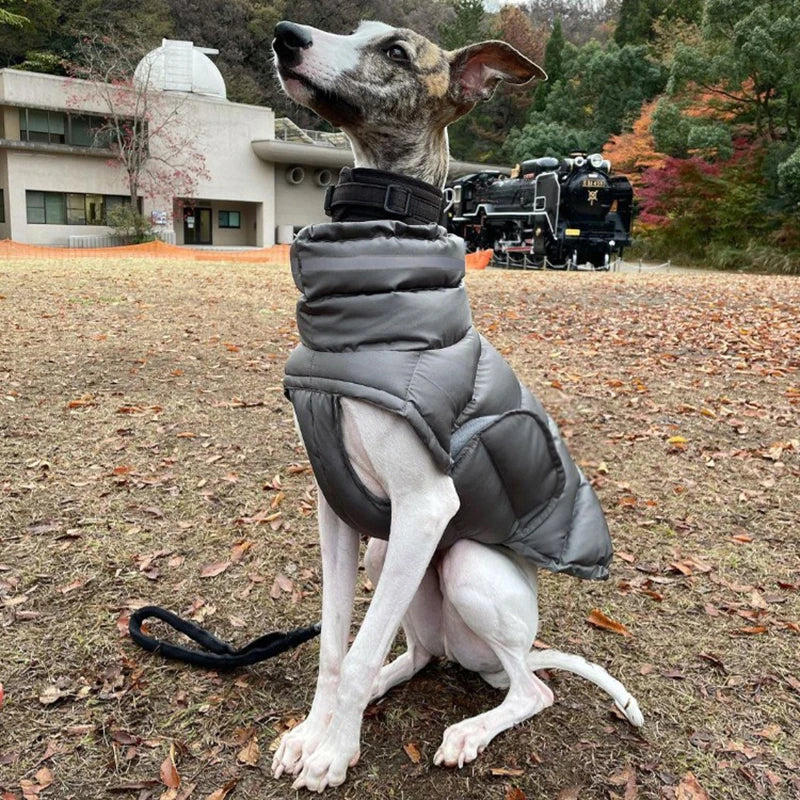 Warme Winter-Daunenweste für Hunde – Winddichte Jacke für Chihuahua & Französische Bulldogge