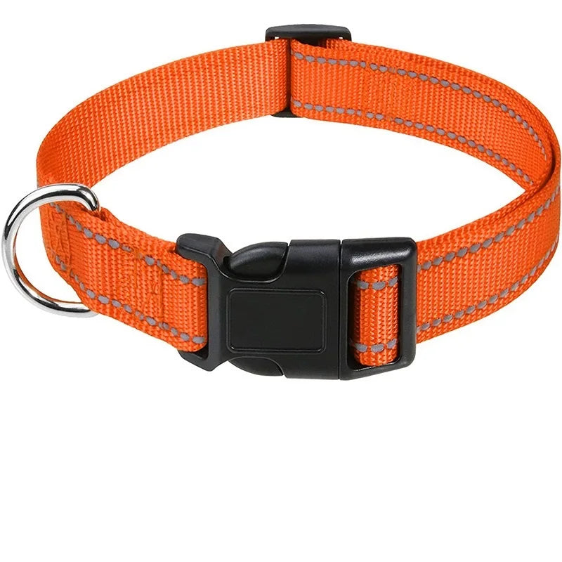 Dekoratives Choker-Hundehalsband – Stilvolles Halsband für Welpen sowie Kleine & Große Hunde