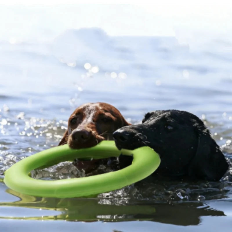 Bissfester TPR Hundering – Weiches Schwimmfähiges Zieh-, Wurf- & Flugspielzeug für Training und Interaktives Hundespiel