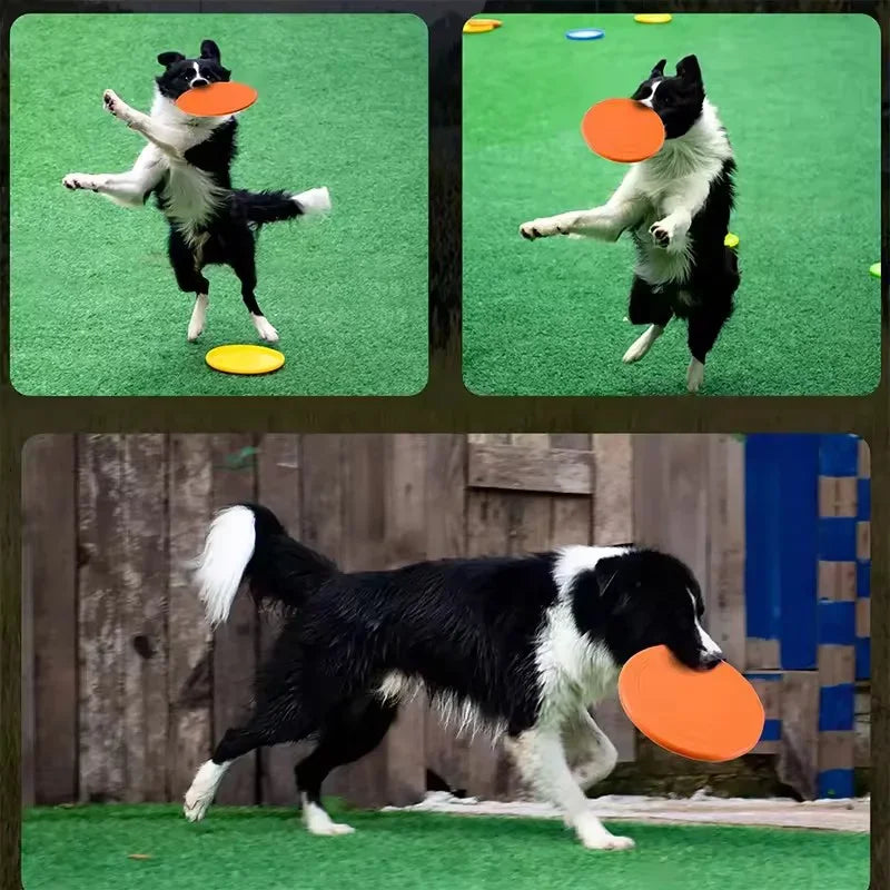 Weiche Gummi-Hundefrisbee – Robuste Wurfscheibe für Apportieren & Training