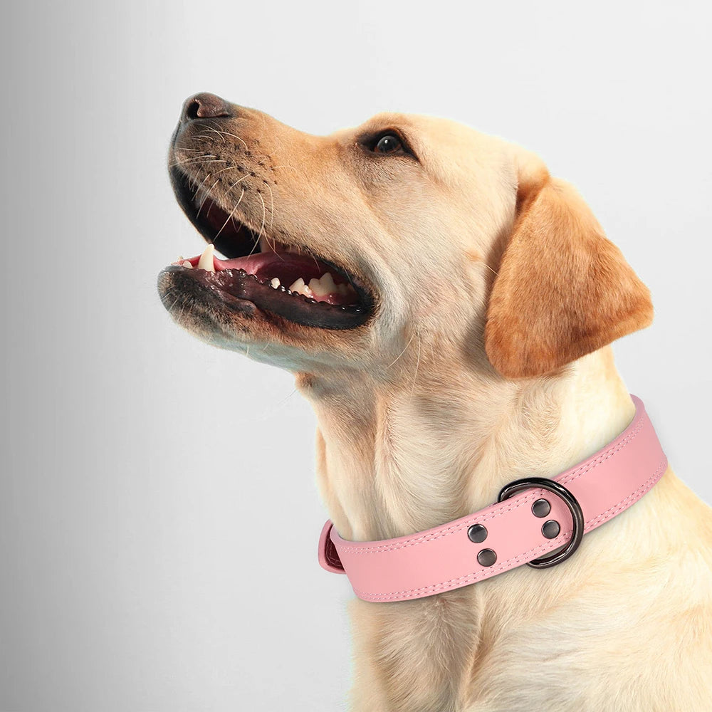 Hundehalsband aus Echtem Leder – Weiches Robustes Halsband für Kleine, Mittelgroße & Große Hunde und Deutsche Schäferhunde