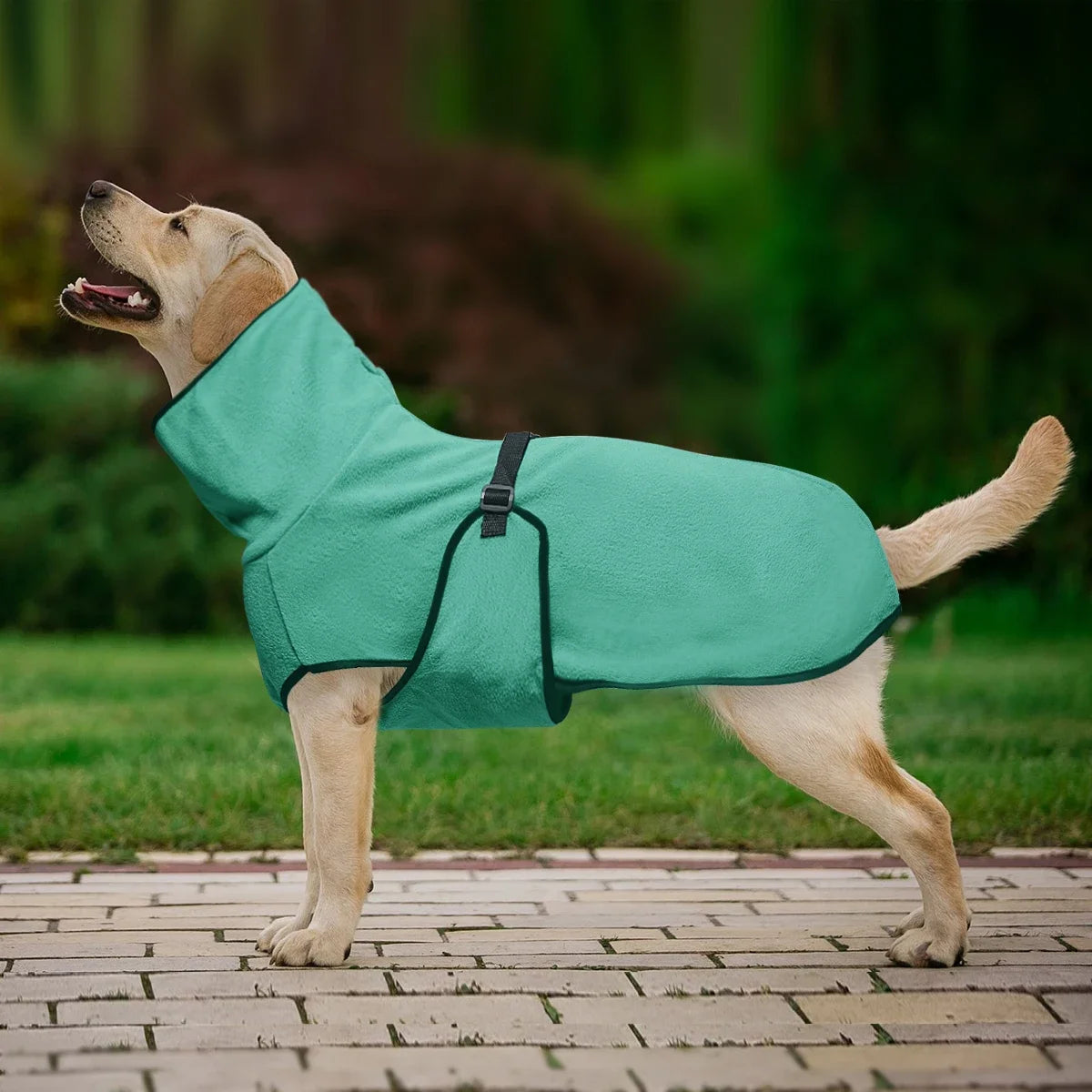 Warmer Wintermantel für Hunde – Gemütliche Haustierweste für Kleine, Mittelgroße & Große Hunde