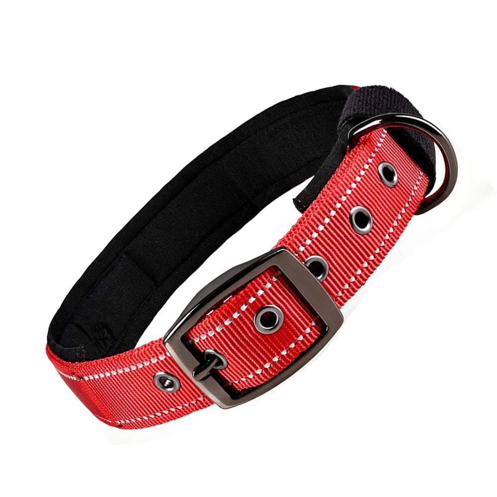 Reflektierendes Gestreiftes Nylon-Haustierhalsband – Ausbruchsicheres Weich Gepolstertes Halsband mit Schnellverschluss für Katzen sowie Kleine, Mittelgroße & Große Hunde