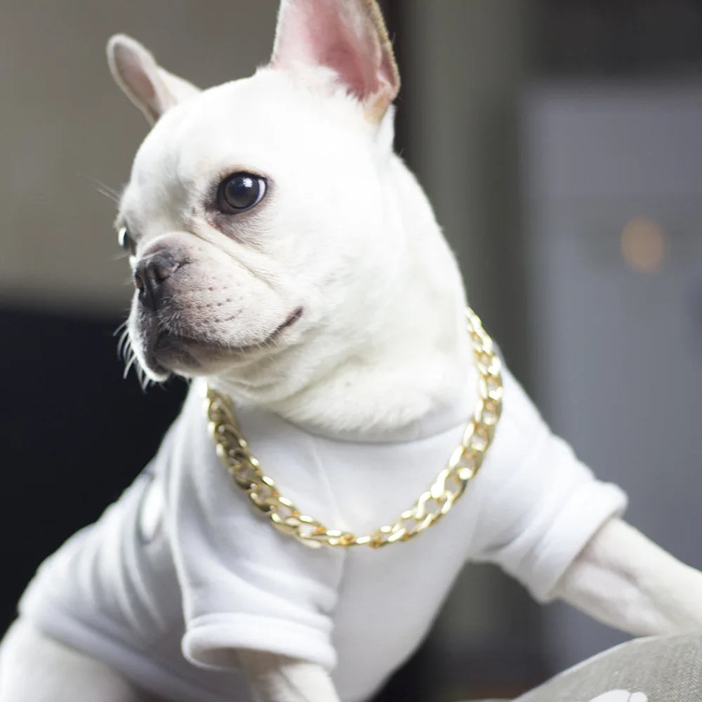 Luxuriöses Goldenes Metall-Hundehalsband – Auffälliges Kettenhalsband für Pitbulls, Bulldoggen, Teddybär-Hunde & Französische Bulldoggen