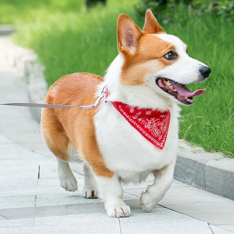 PU-Halsband für Hunde & Katzen mit Halstuch – Verstellbares Haustierhalsband für Kleine & Mittelgroße Hunde, Chihuahuas, Corgis und Welpen