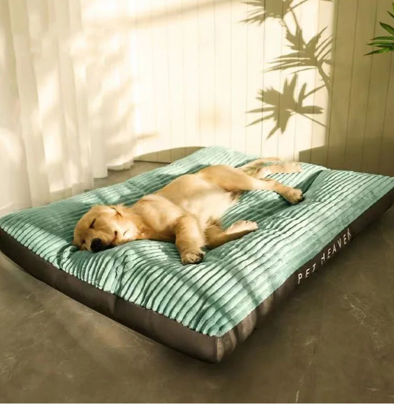 Warmes Cord Hundebett mit Abnehmbarem Kissen – Weiche Gemütliche Winter Schlafmatte für Kleine Mittlere Große Hunde & Welpen