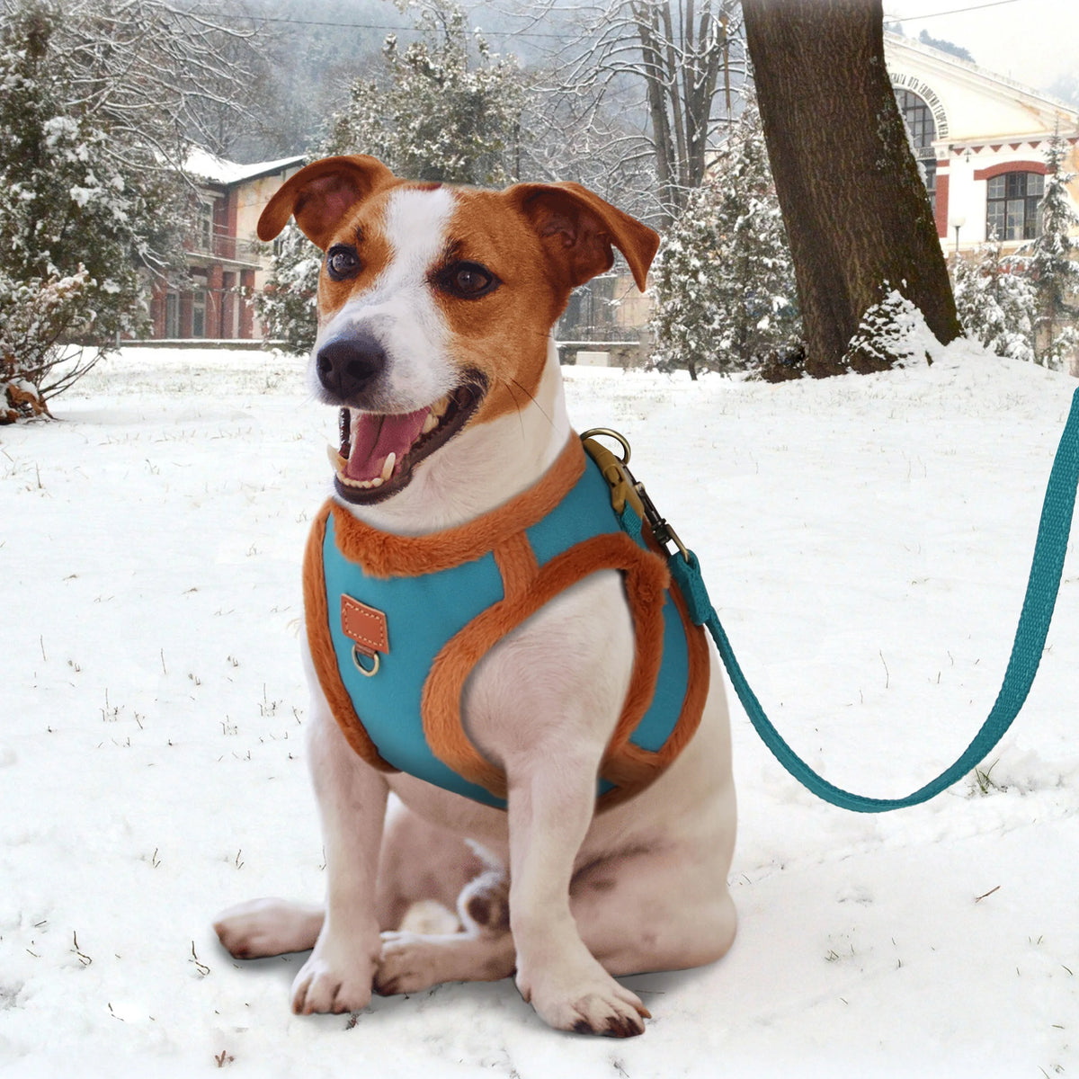 Warmes Dreilagiges Hundegeschirr mit Leine – Weich Gepolstertes Wintergeschirr für Kleine und Mittelgroße Hunde