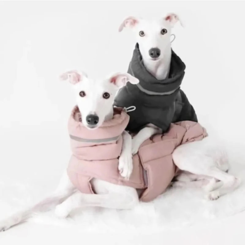 Warme Winter-Daunenweste für Hunde – Winddichte Jacke für Chihuahua & Französische Bulldogge