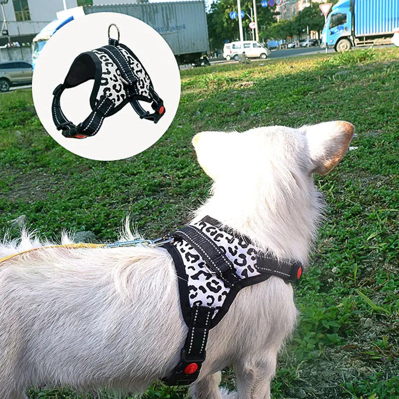 Robustes Hundegeschirr aus Nylon – Verstellbares Verstärktes Geschirr für Kleine, Mittelgroße und Sehr Große Hunde