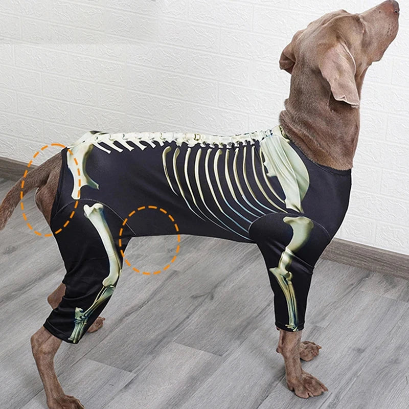 Skelett-Halloween-Kostüm für Hunde – Cooles Verwandlungs-Outfit für Große Hunde