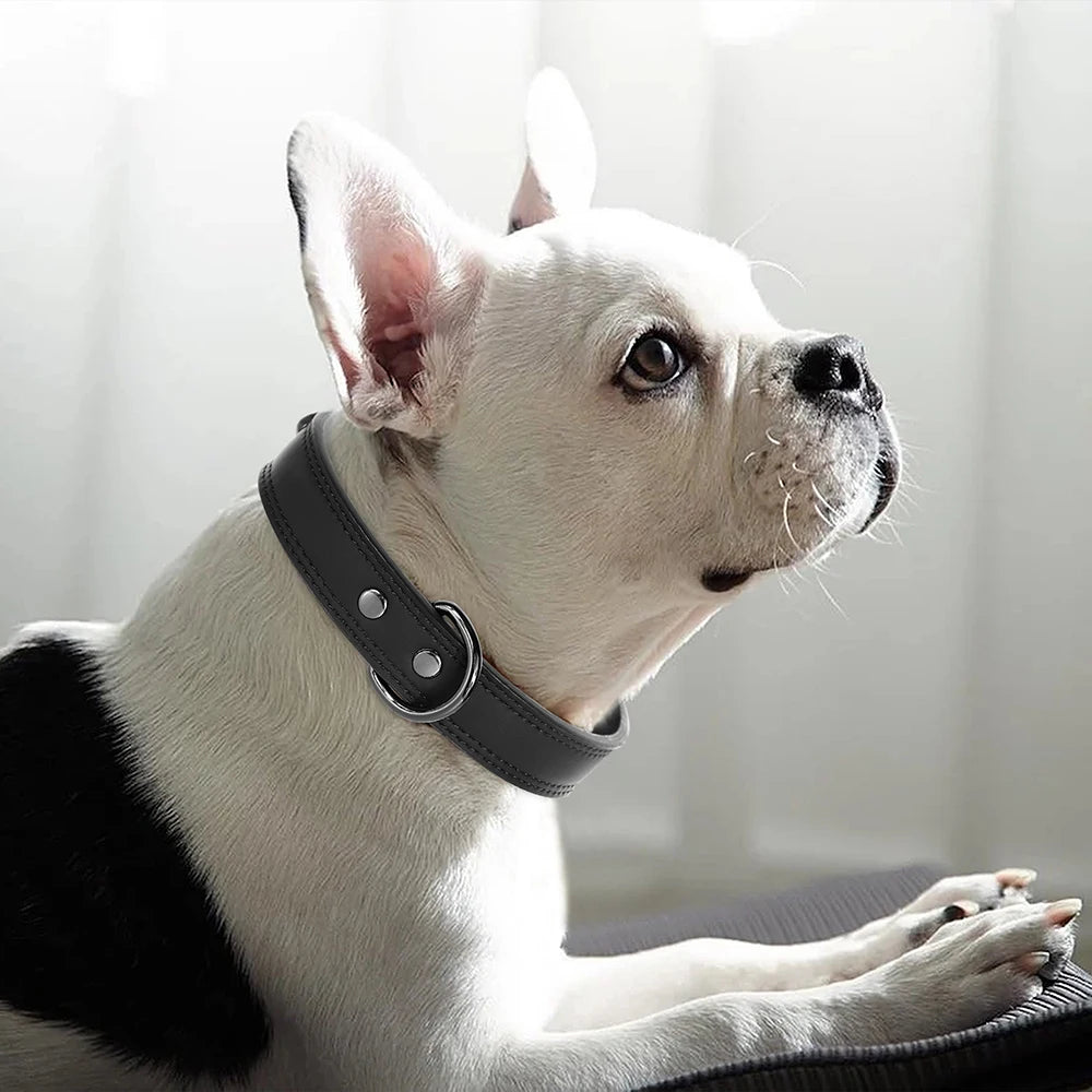 Hundehalsband aus Echtem Leder – Weiches Robustes Halsband für Kleine, Mittelgroße & Große Hunde und Deutsche Schäferhunde