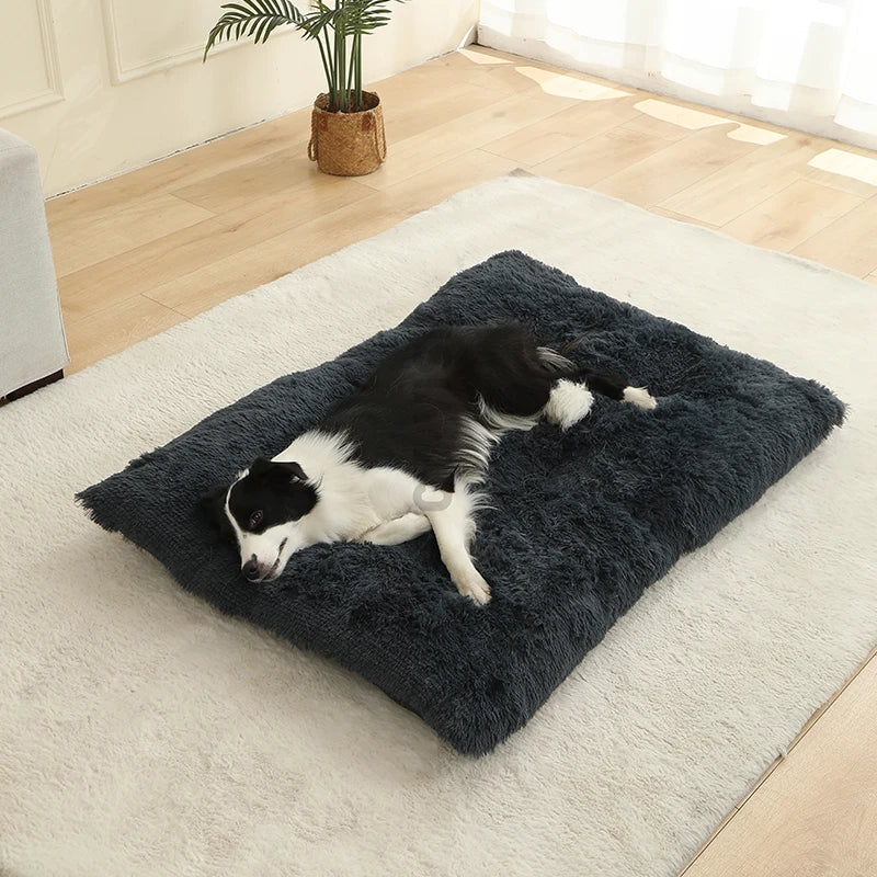 Weiches Langplüsch Hundebett & Haustier Schlafsofa – Gemütliches Korb-Kissen und Katzenbett für Kleine Mittlere Große Hunde, Welpen & Katzen