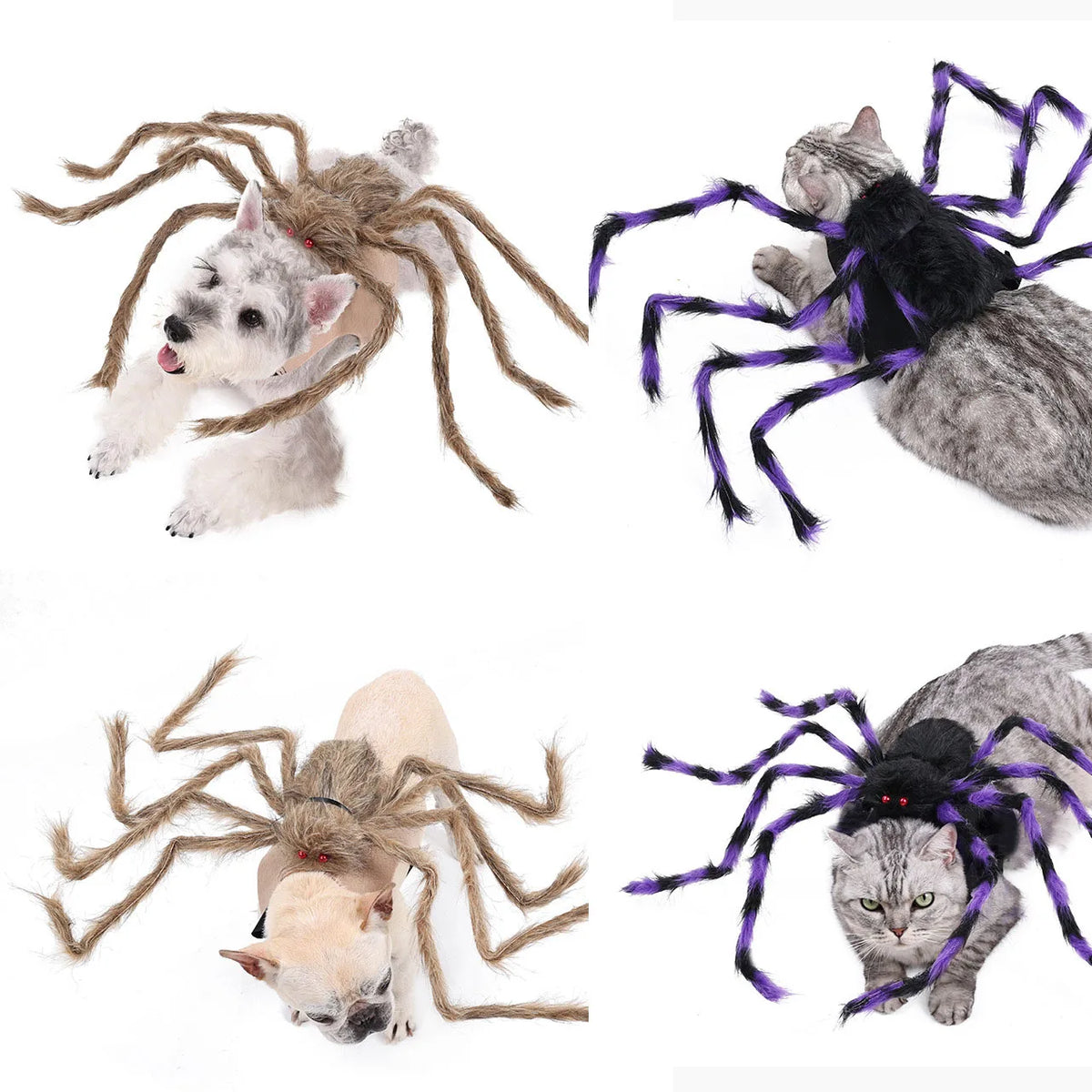 Lustiges Spinnenkostüm für Haustiere – Halloween-Cosplay-Outfit für Kleine & Mittelgroße Hunde & Katzen