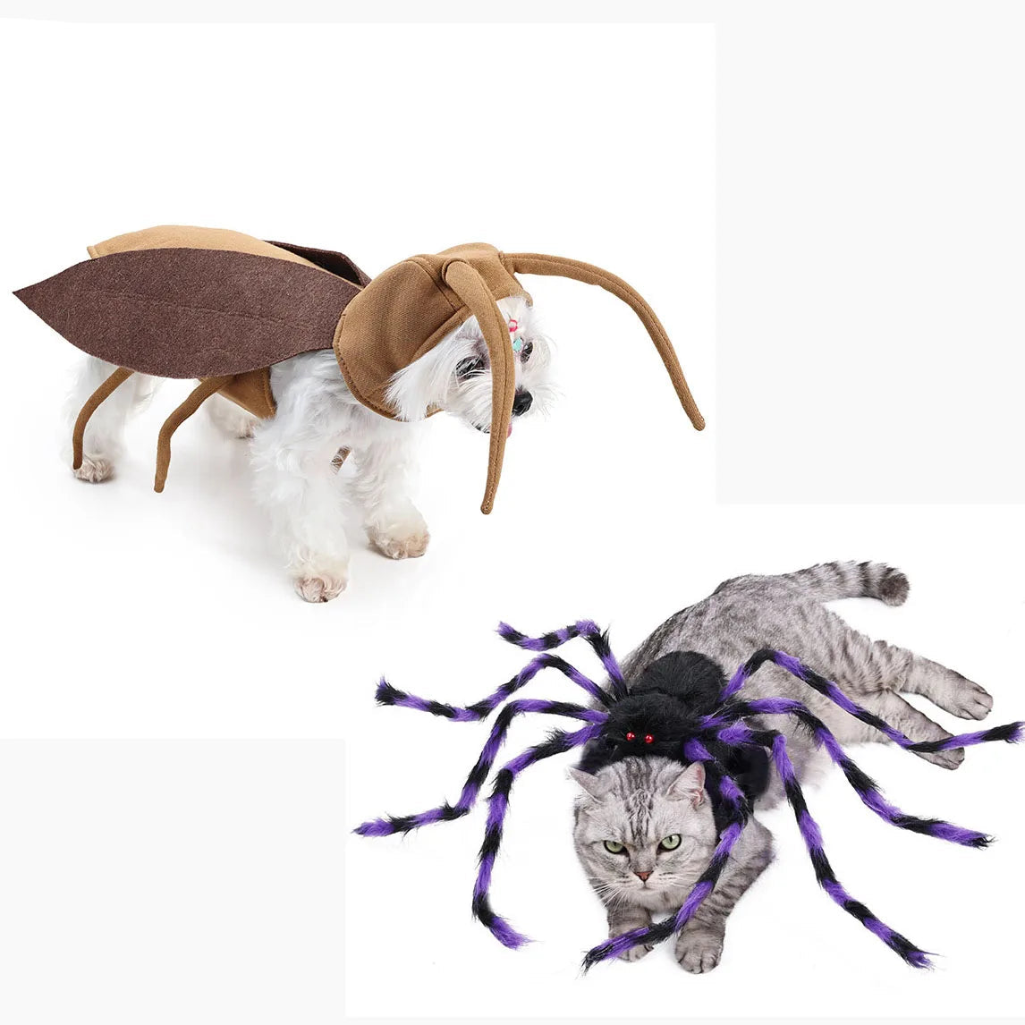 Lustiges Spinnenkostüm für Haustiere – Halloween-Cosplay-Outfit für Kleine & Mittelgroße Hunde & Katzen