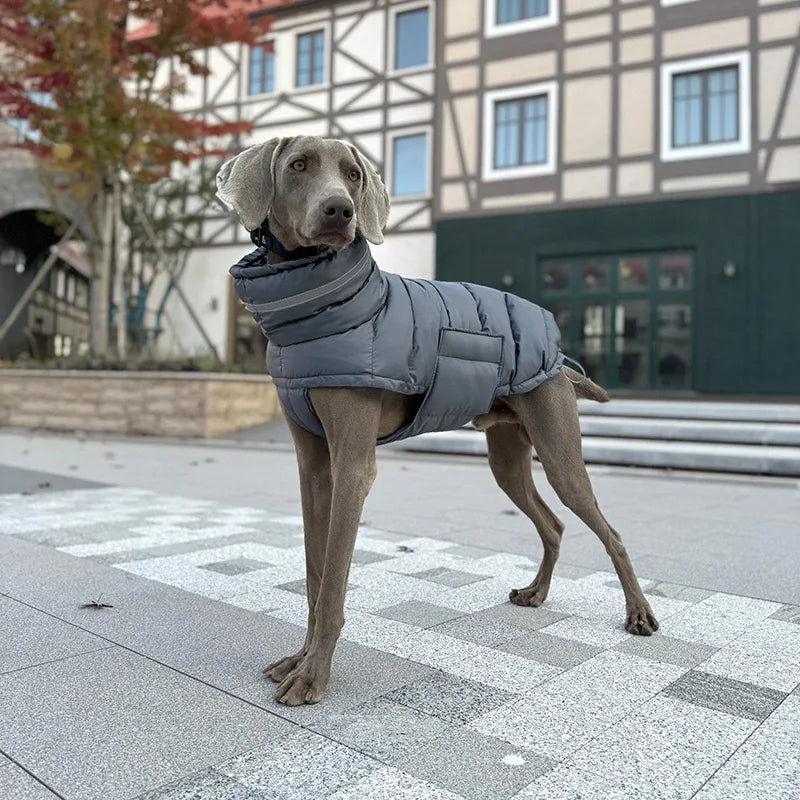 Warme Winter-Daunenweste für Hunde – Winddichte Jacke für Chihuahua & Französische Bulldogge