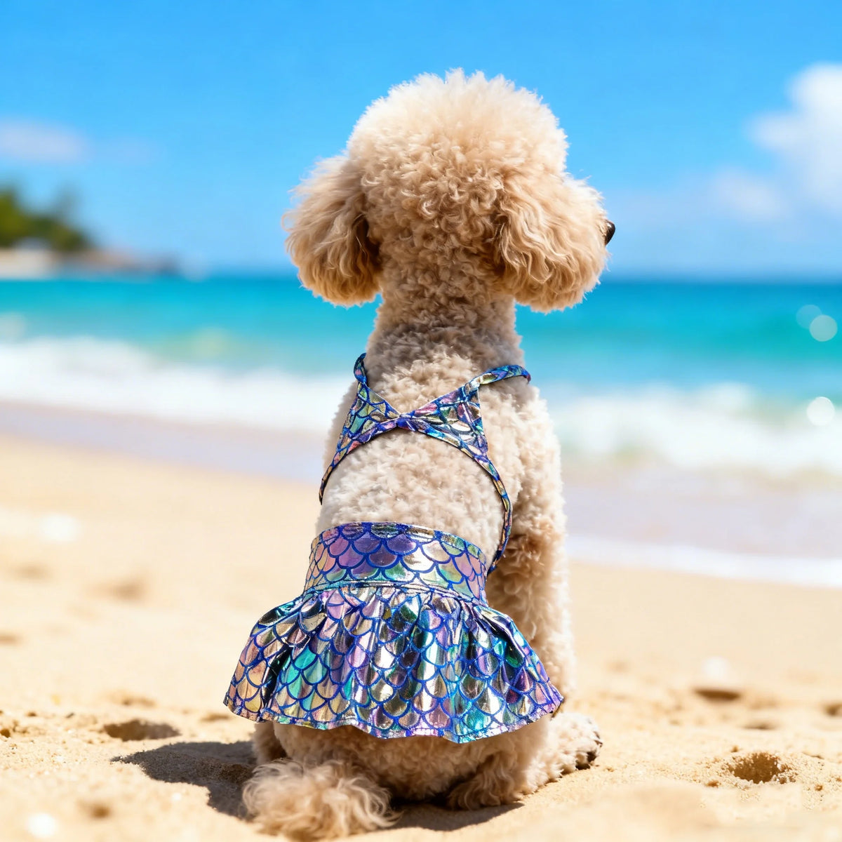 Sommer-Bikini für Kleine Hunde – Süße & Bequeme Leichte Hunde-Strandbekleidung