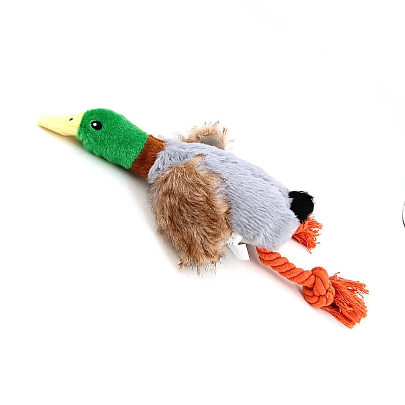 Niedliches Enten-Plüschspielzeug mit Quietschfunktion – Gefülltes Hunde-Kauseil & Zahnpflege-Spielzeug für Welpen, Hunde und Katzen