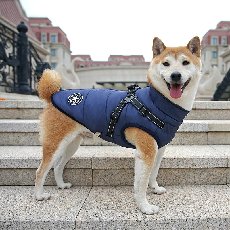 Wasserdichte Warme Hundejacke mit Geschirr – Winterweste für Kleine & Große Hunde