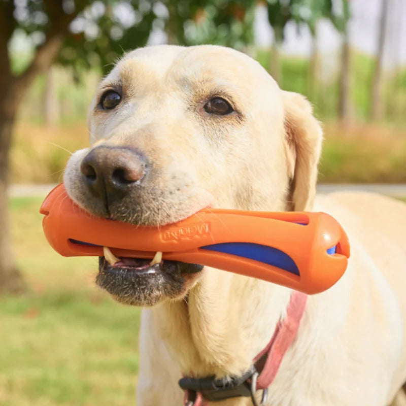Schwimmendes Wasser-Stick Hundespielzeug – Bissfestes Apportier- & Trainingsspielzeug