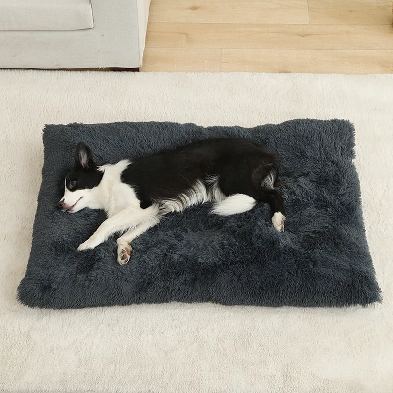 Weiches Langplüsch Hundebett & Haustier Schlafsofa – Gemütliches Korb-Kissen und Katzenbett für Kleine Mittlere Große Hunde, Welpen & Katzen