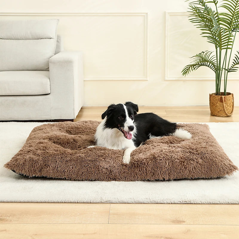 Weiches Langplüsch Hundebett & Haustier Schlafsofa – Gemütliches Korb-Kissen und Katzenbett für Kleine Mittlere Große Hunde, Welpen & Katzen
