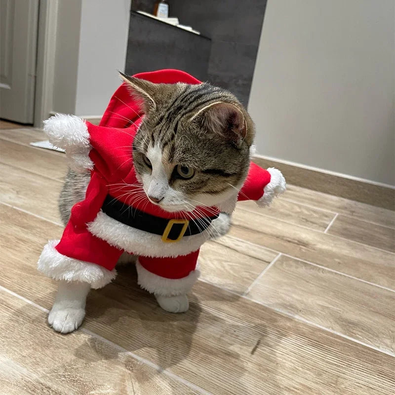 Weihnachtsmann-Overall für Kleine Hunde & Katzen – Süßes Weihnachts-Cosplay-Kostüm
